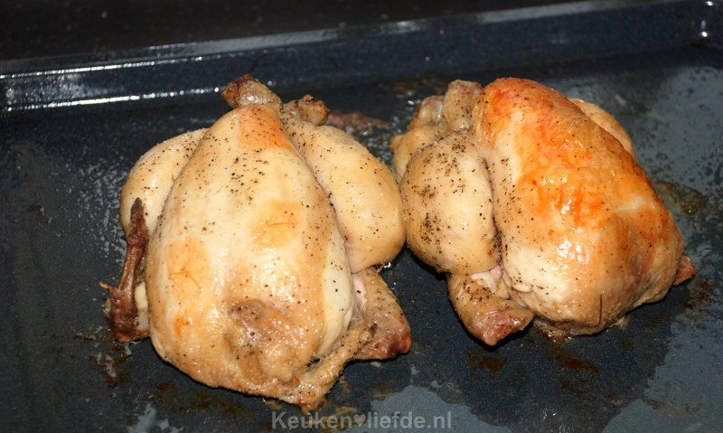 Piepkuiken Piepkuiken