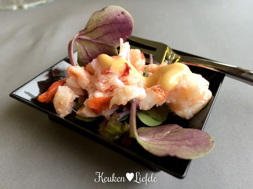 Opening kreeftenseizoen 2015--3