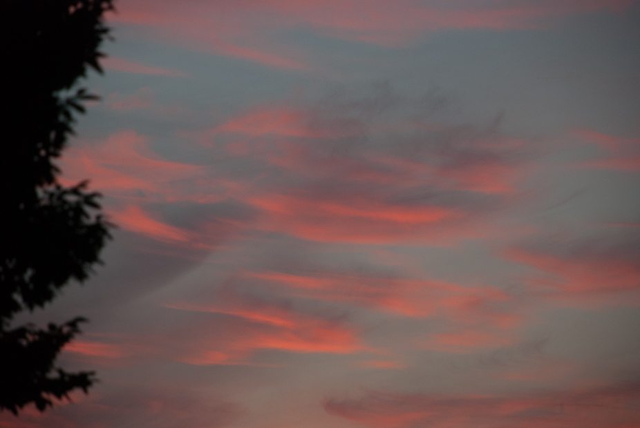 Kaasplankje met Old White