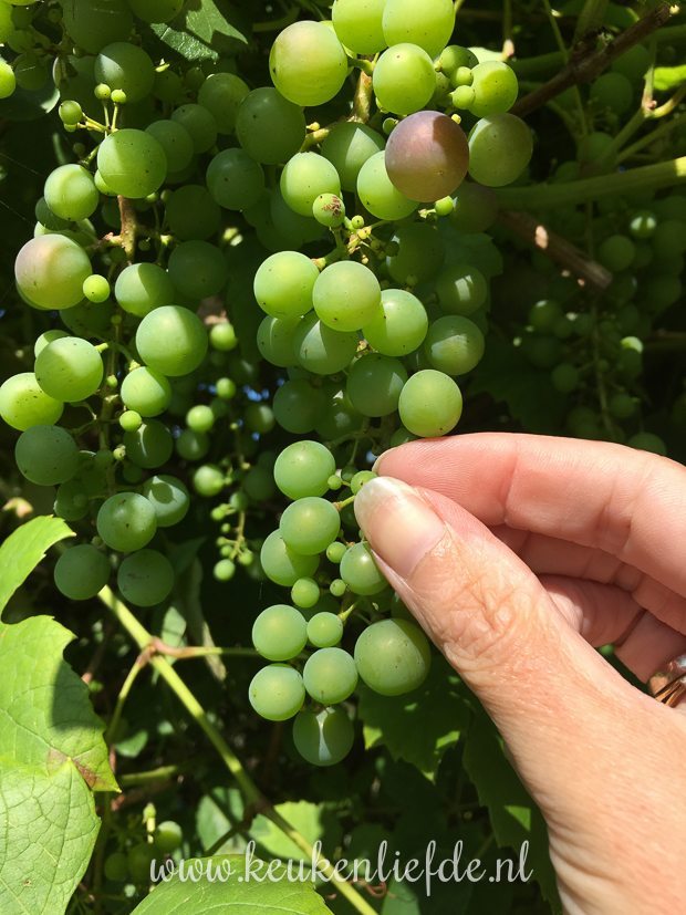 Vlog - een dag achter de schermen bij KeukenLiefde-4196