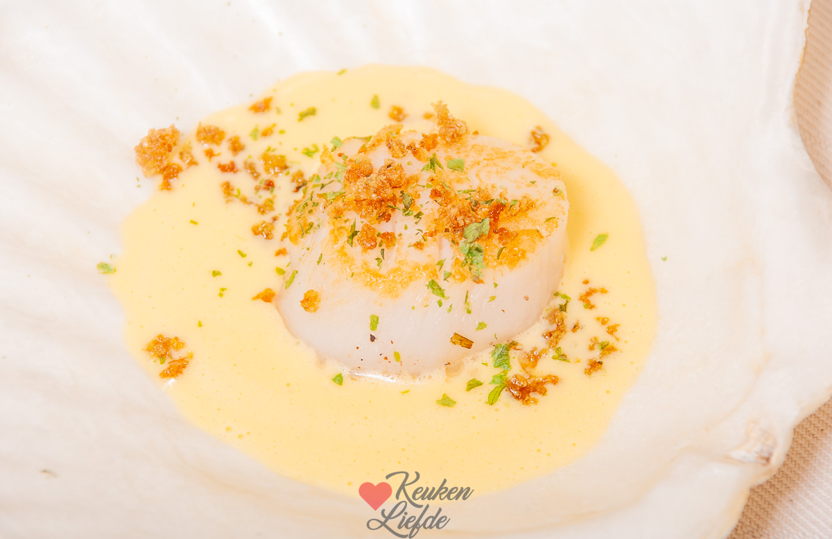 Coquilles met citroensaus