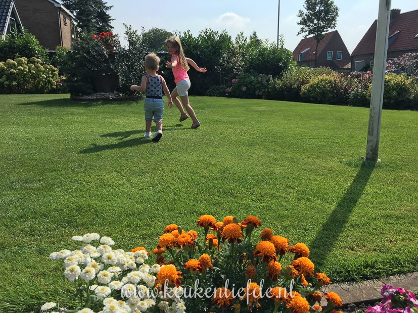 Achterdeschermenweek34-4427