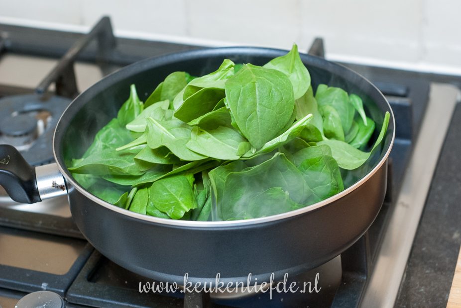 Lasagne met kip en spinazie