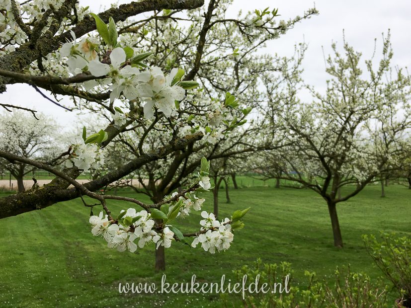 Een kijkje in de keuken week 14