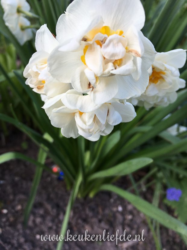 Een kijkje in de keuken week 14