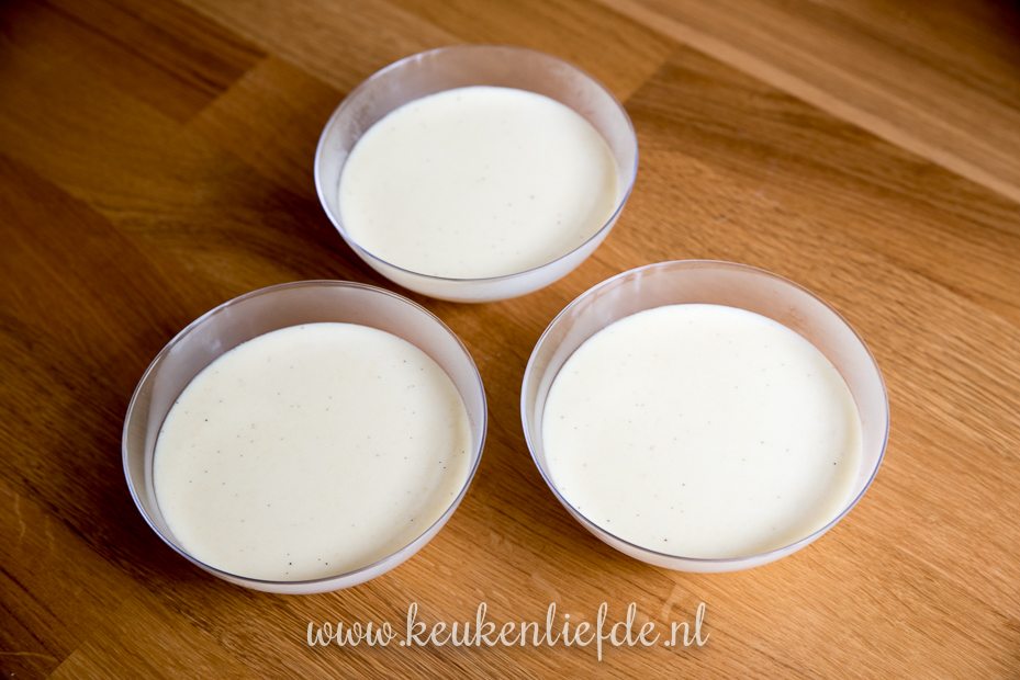 Panna cotta met rodevruchtensaus