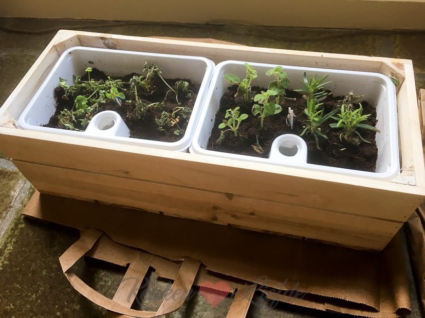 Een kijkje in de keuken week 6