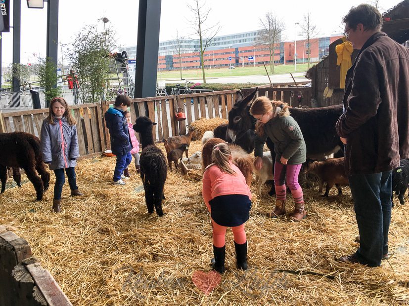Een kijkje in de keuken week 13