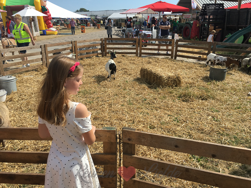 Een kijkje in de keuken week 27