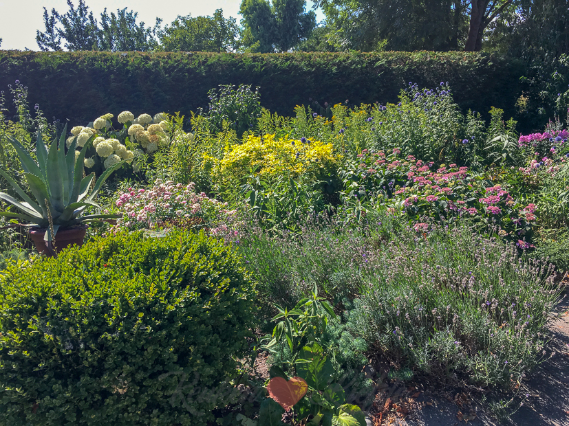 Een kijkje in de keuken week 28