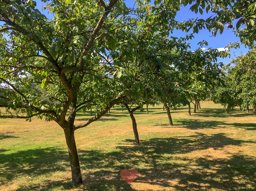 Een kijkje in de keuken week 28