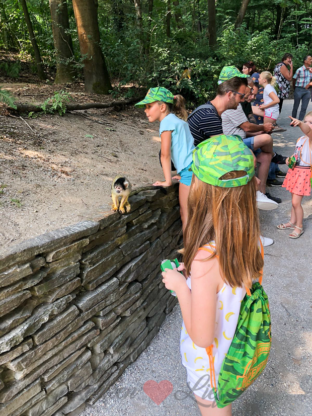 Een kijkje in de keuken week 26