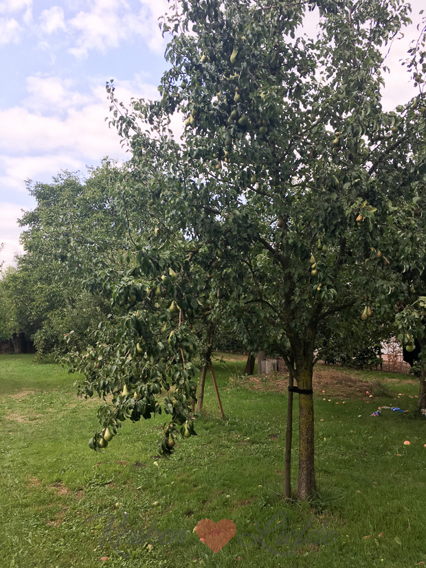 Een kijkje in de keuken week 33