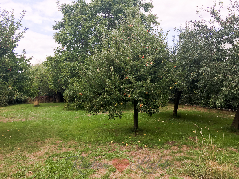 Een kijkje in de keuken week 33