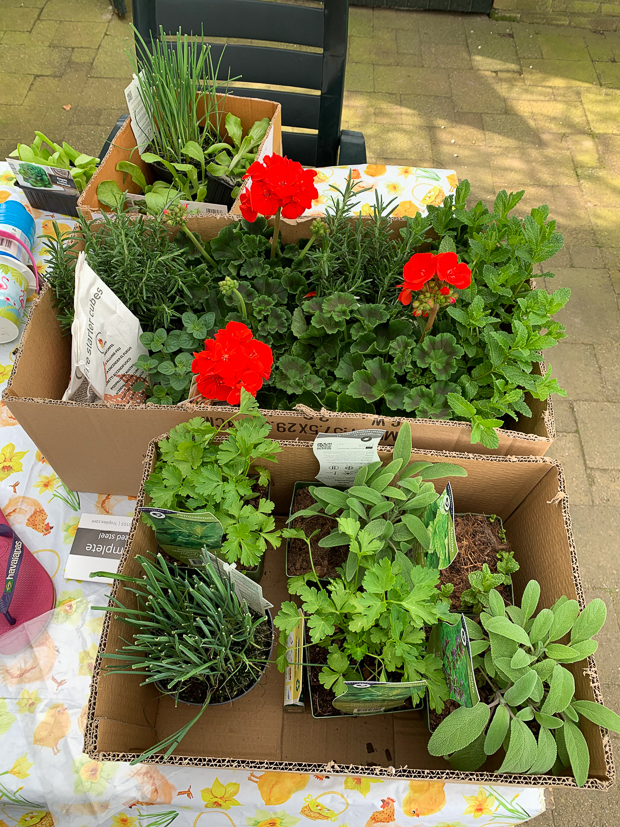 Een kijkje in de keuken week 14-2019