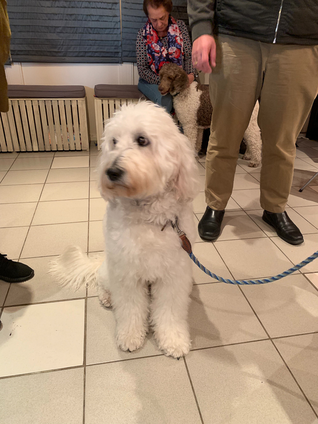 Een kijkje in de keuken week 15-2019 Een kijkje in de keuken week 15-2019