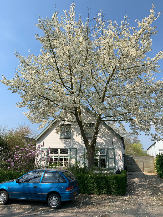 Een kijkje in de keuken week 15-2019