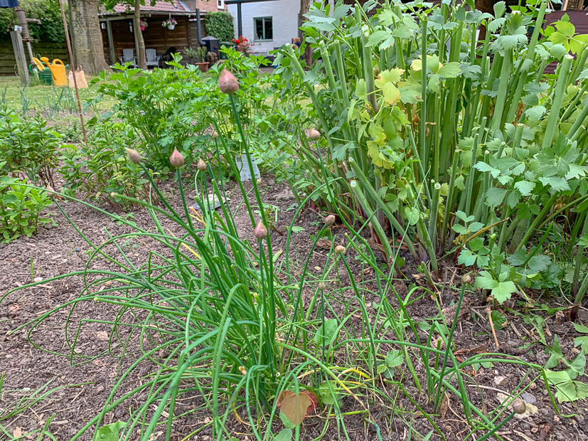 Een kijkje in de keuken week 21-2019
