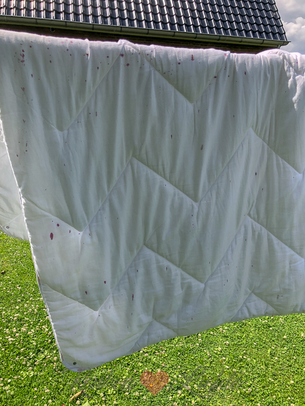 Een kijkje in de keuken week 25-2019 Een kijkje in de keuken week 25-2019