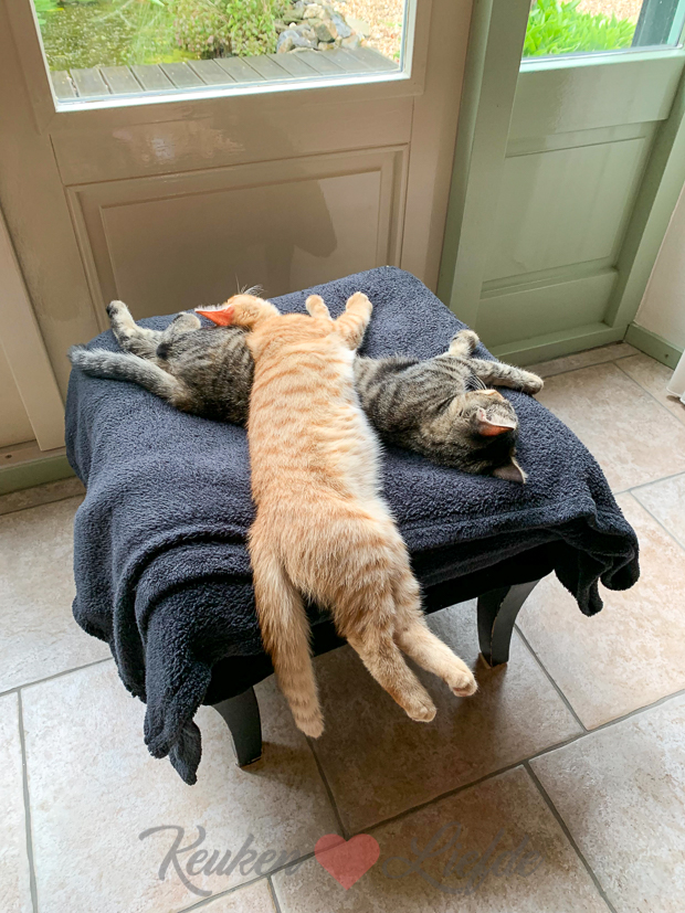 Een kijkje in de keuken week 27-2019 Een kijkje in de keuken week 27-2019