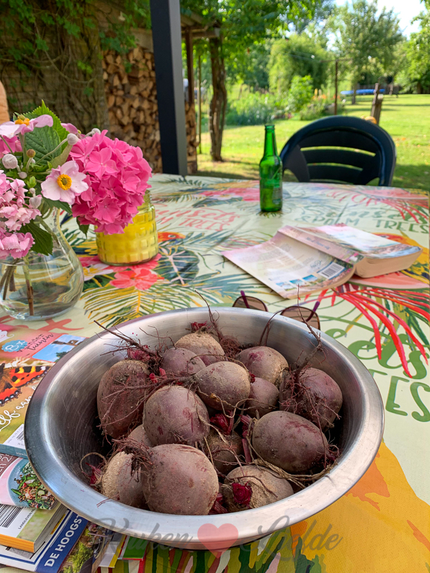 Een kijkje in de keuken week 27-2019