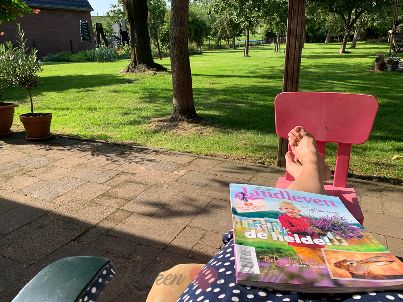 Een kijkje in de keuken week 34-2019 Een kijkje in de keuken week 34-2019