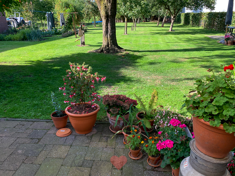 Een kijkje in de keuken week 37-2019