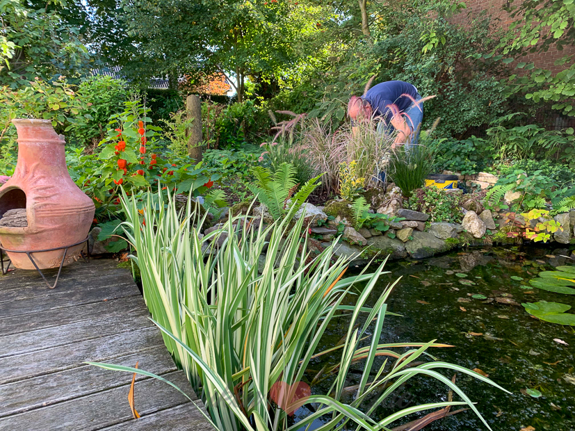 Een kijkje in de keuken week 37-2019