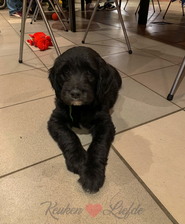 Een kijkje in de keuken week 39-2019