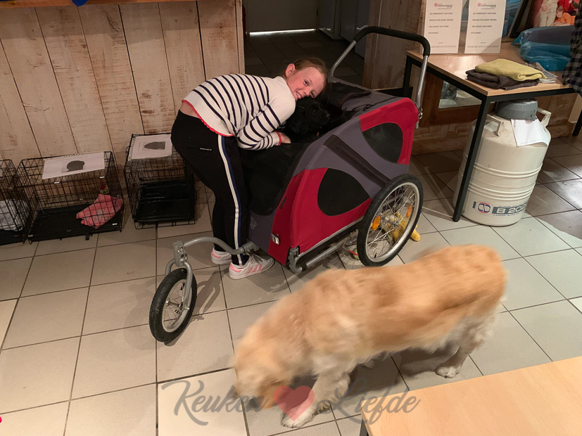 Een kijkje in de keuken week 39-2019