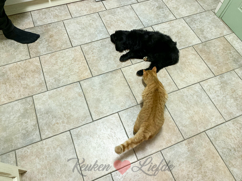 Een kijkje in de keuken week 41-2019 Een kijkje in de keuken week 41-2019