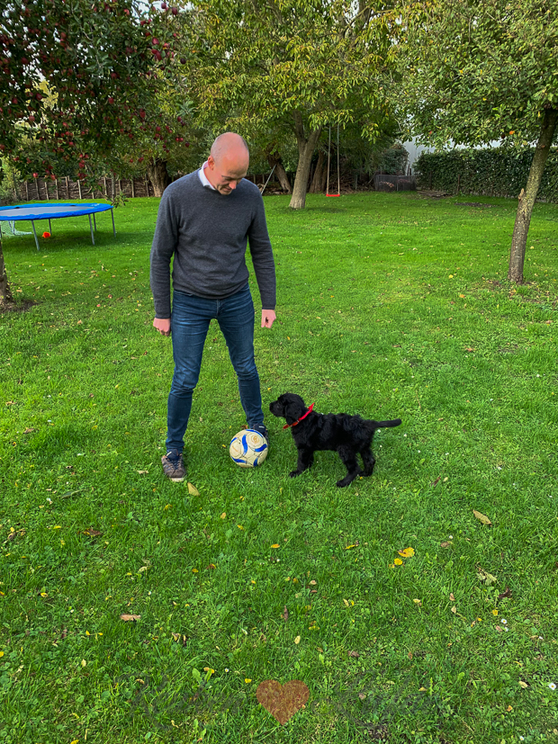 Een kijkje in de keuken week 41-2019
