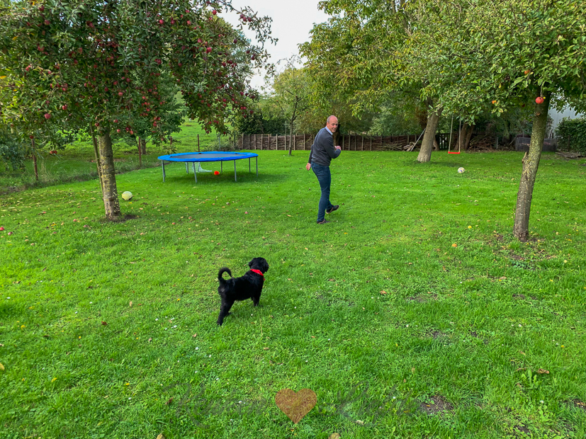 Een kijkje in de keuken week 41-2019