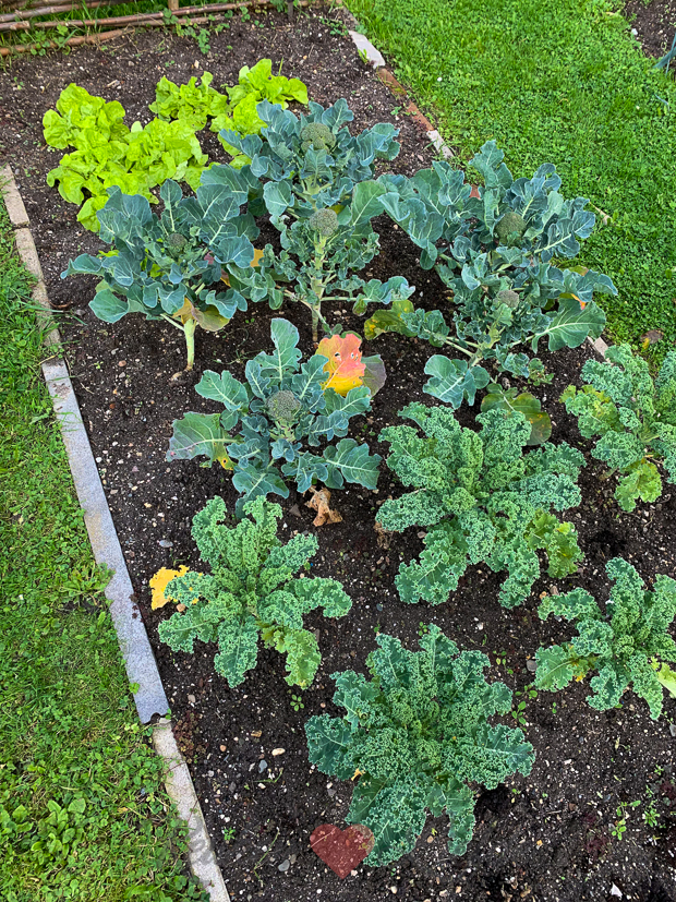 Een kijkje in de keuken week 41-2019