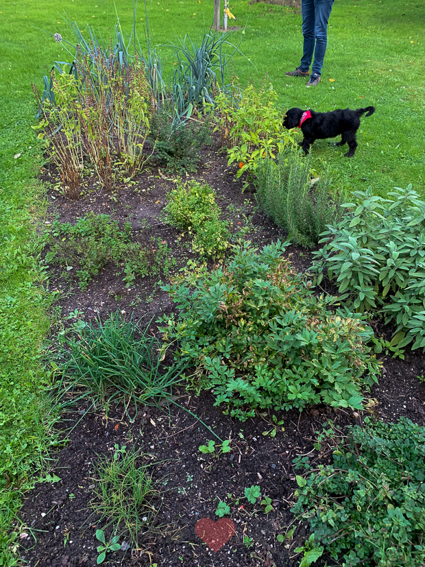 Een kijkje in de keuken week 41-2019
