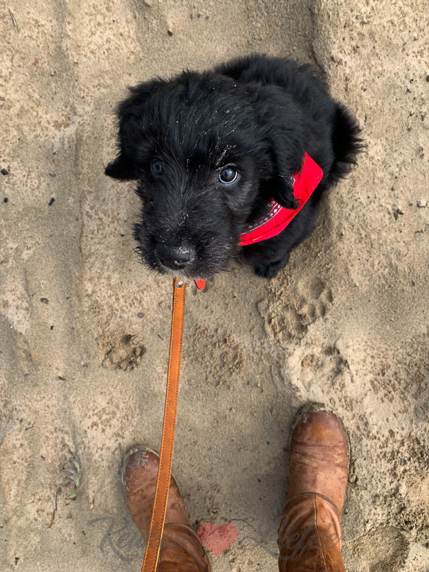 Een kijkje in de keuken week 41-2019