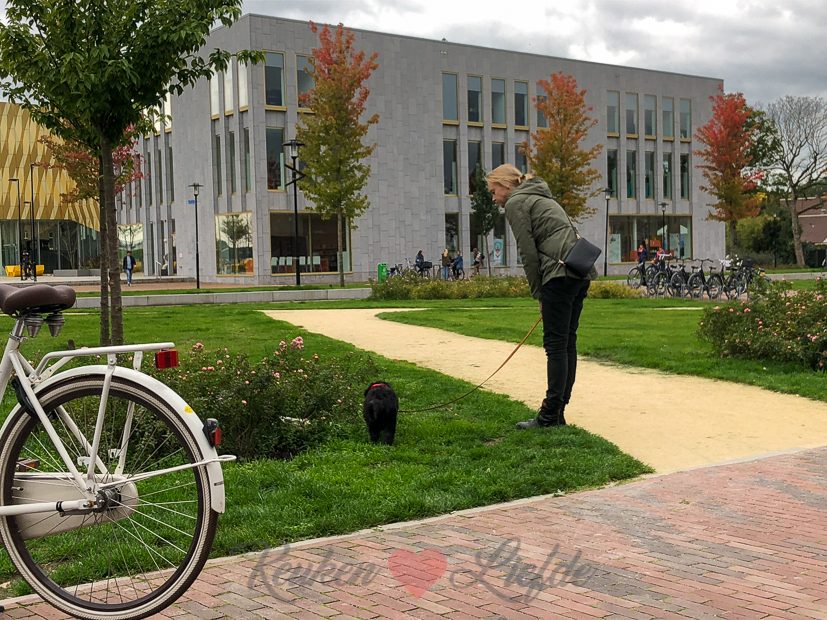 Een kijkje in de keuken week 41-2019 Een kijkje in de keuken week 41-2019