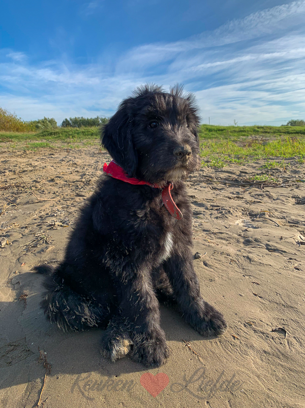 Een kijkje in de keuken week 43-2019