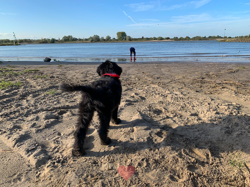 Een kijkje in de keuken week 43-2019