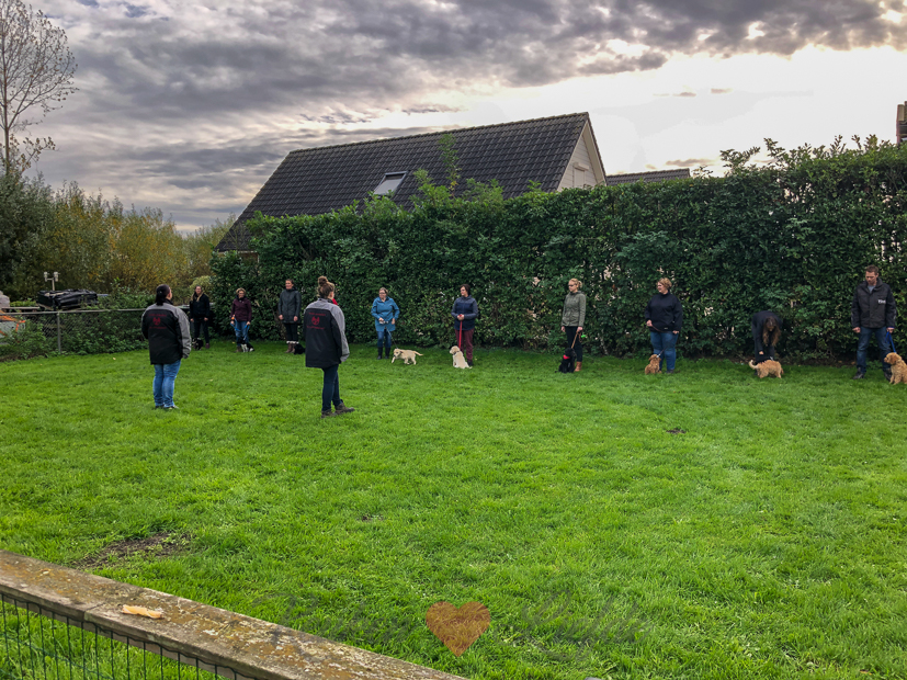 Een kijkje in de keuken week 43-2019 Een kijkje in de keuken week 43-2019