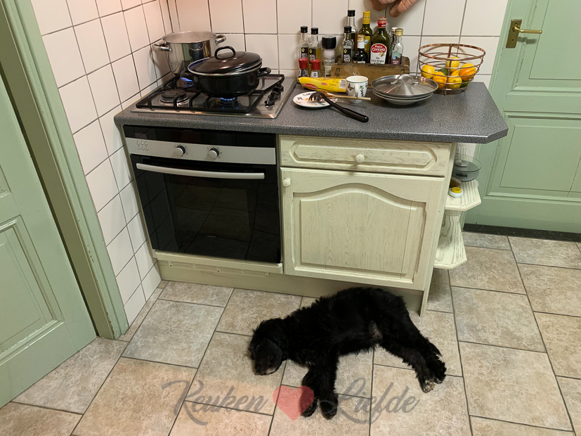 Een kijkje in de keuken week 44-2019