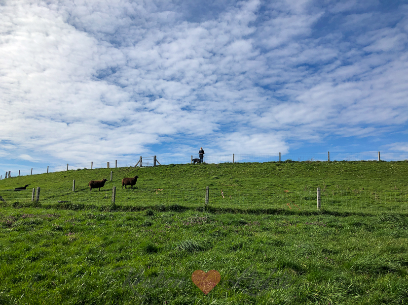 Een kijkje in de keuken week 12-2020