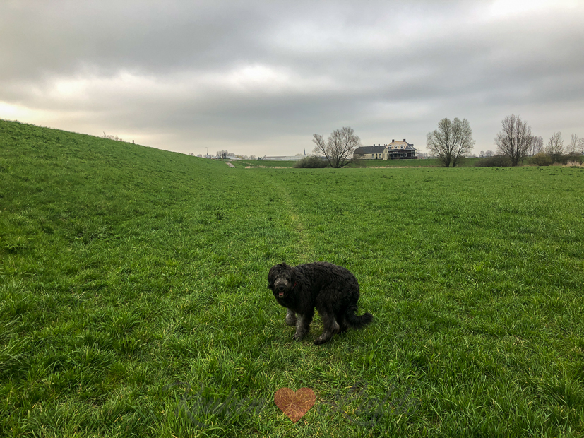 Een kijkje in de keuken week 12-2020