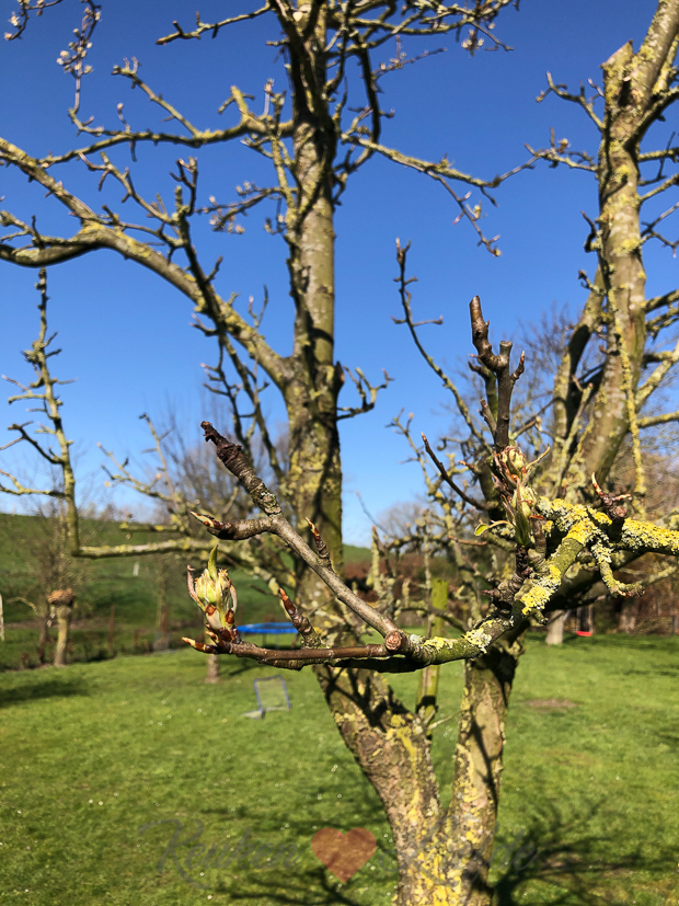 Een kijkje in de keuken week 12-2020