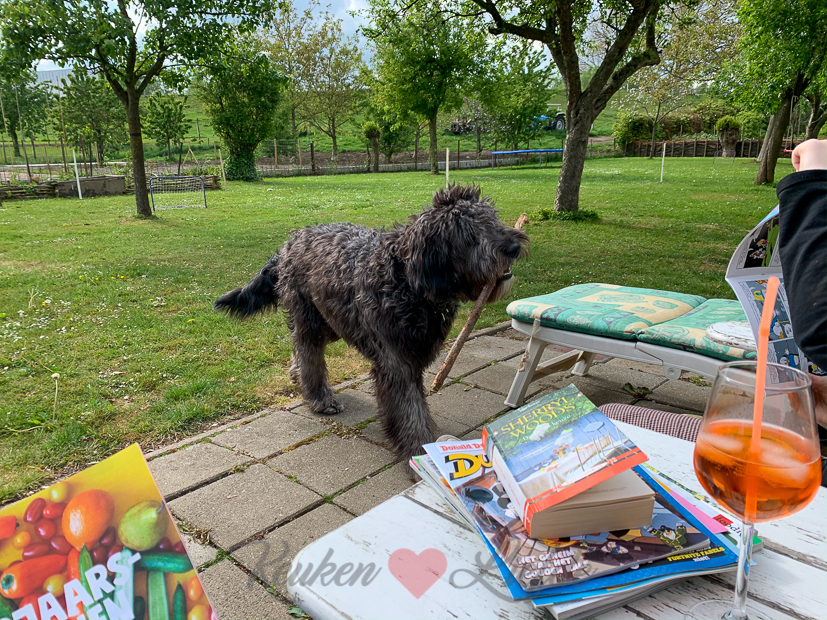 Een kijkje in de keuken week 18-2020