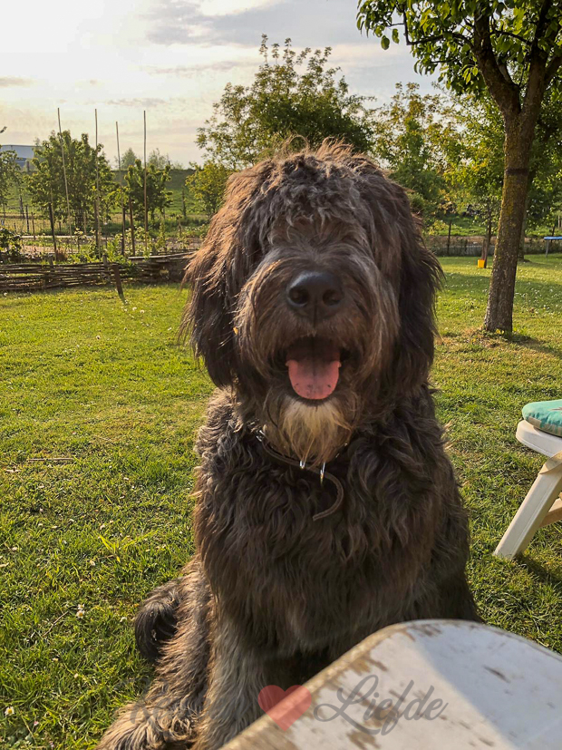 Een kijkje in de keuken week 19-2020