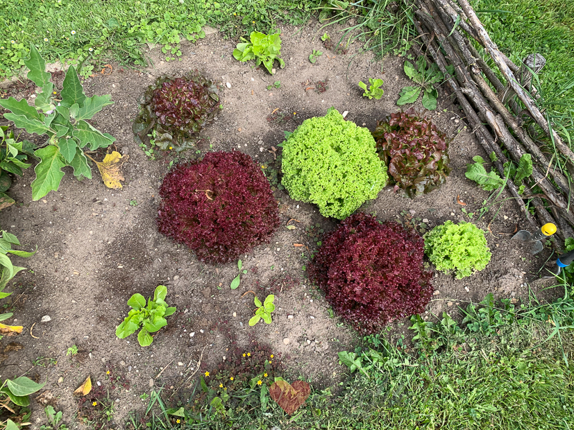 Een kijkje in de keuken week 34-2020