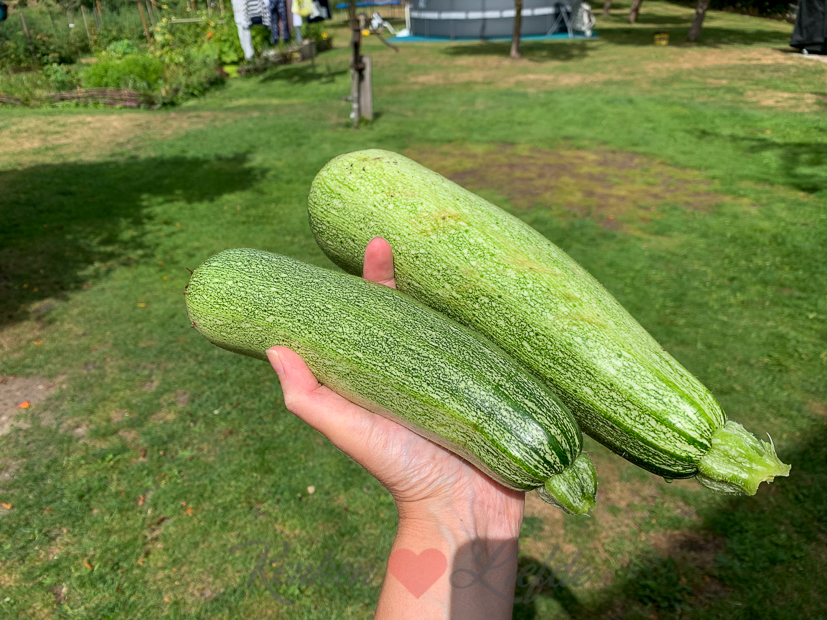 Een kijkje in de keuken week 34-2020