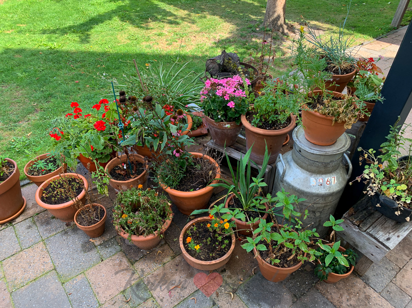 Een kijkje in de keuken week 34-2020