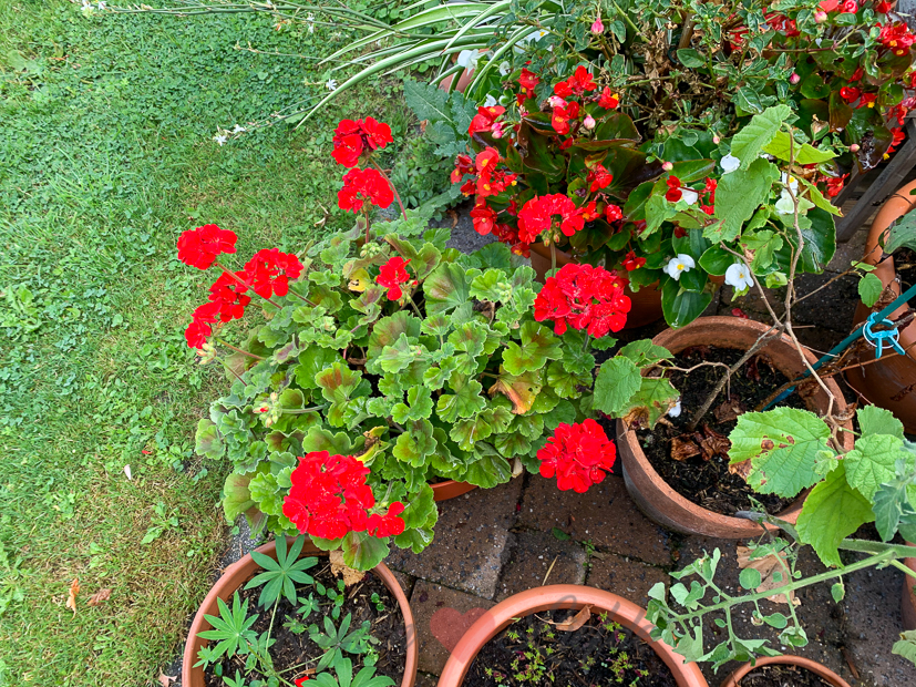 Een kijkje in de keuken week 34-2020